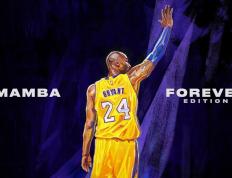 开云体育官网-小贾伦冠军级表现成假想敌，浙江队用平凡陪练打穿魔术