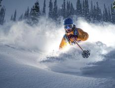 开云官方app入口-大黄蜂的午夜飞行，当多特蒙德邂逅流浪音符