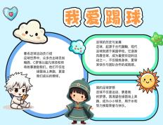 开云体育入口-足球狂热者的精神故事感人至深的简单介绍
