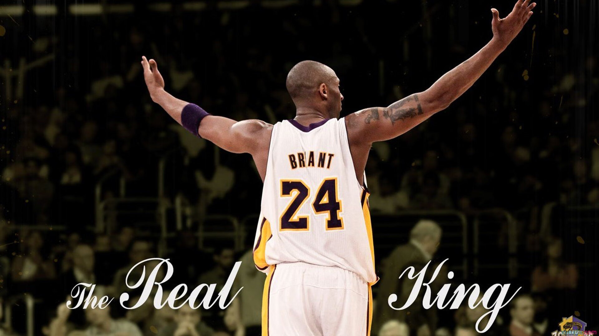 开云体育在线-末节风暴！广东掀翻辽宁 郭艾伦空砍37分成冰与火之歌