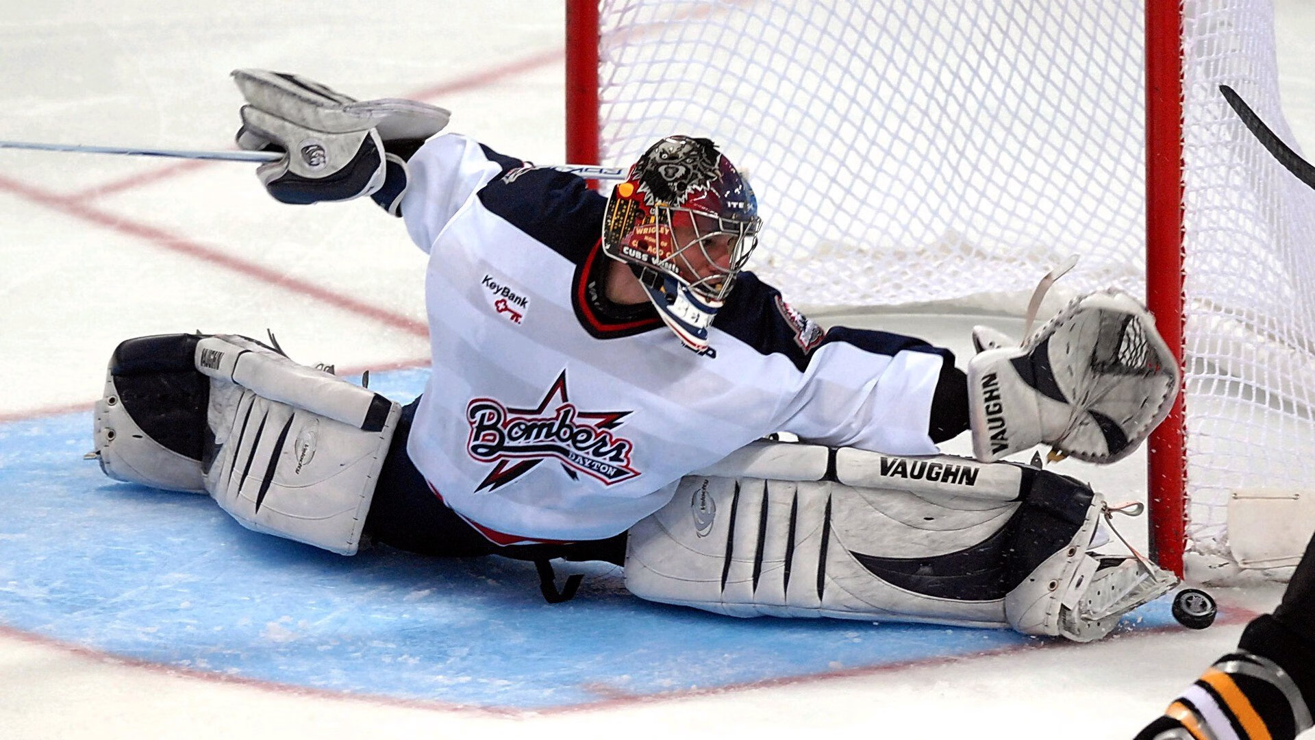 开云APP-羽翼为刃，赛场成诗